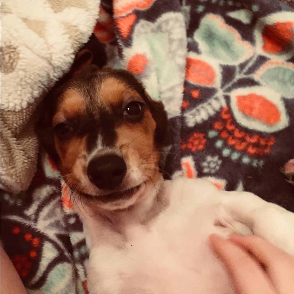 Meet your Posher, Katelyn